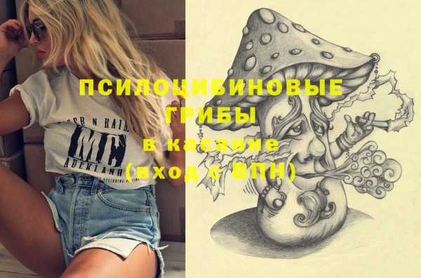 метадон Алексин