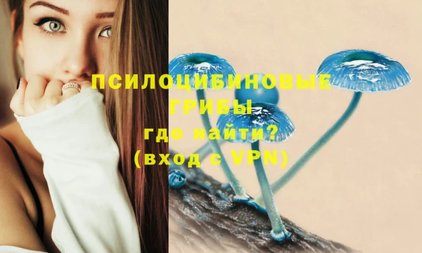метадон Алексин