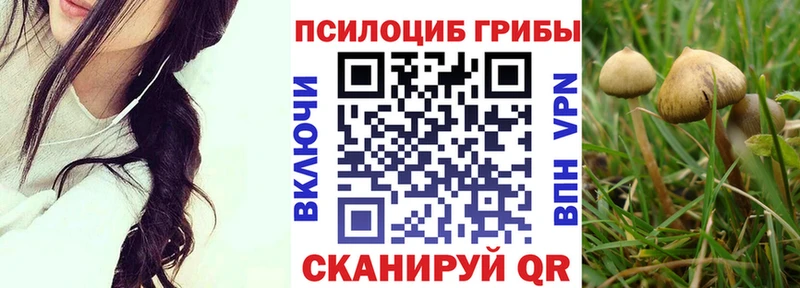 Псилоцибиновые грибы мицелий  купить   Магадан 