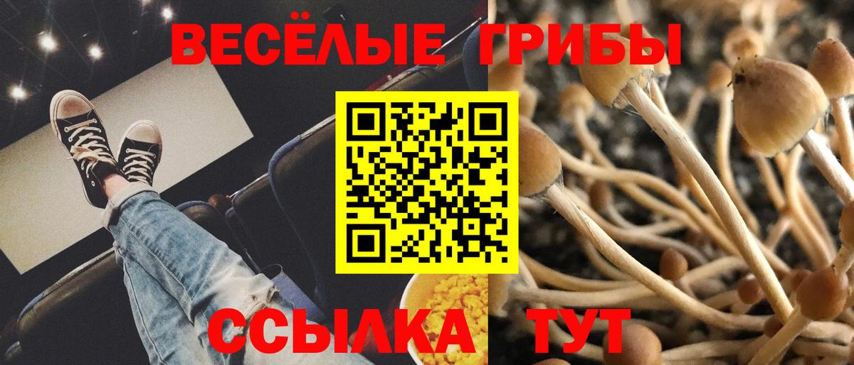 Магадан  Псилоцибиновые грибы Magic Shrooms  Вход с VPN 